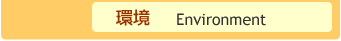環境